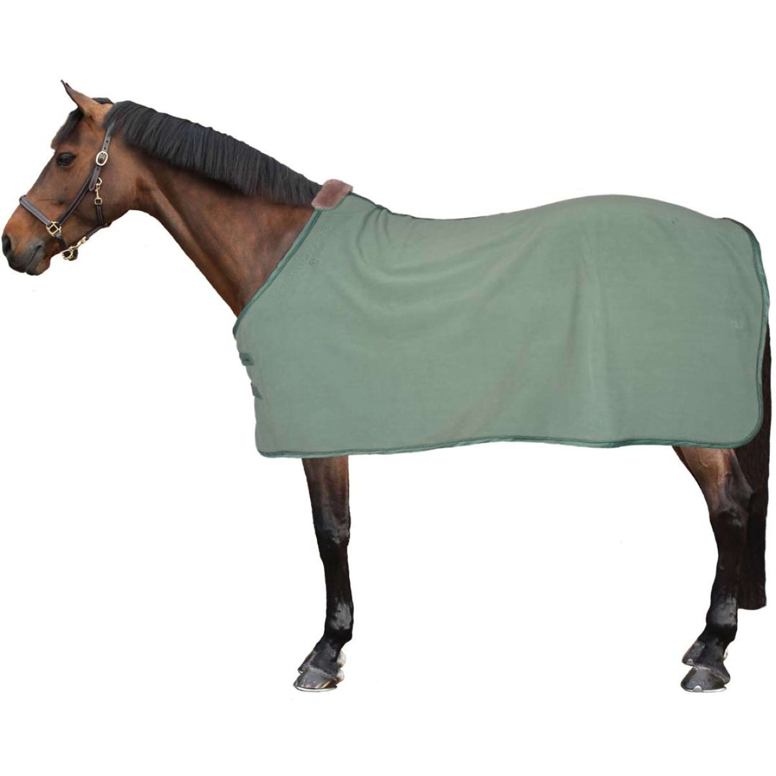 Cavallo Fleece Rug Joana Sea Green