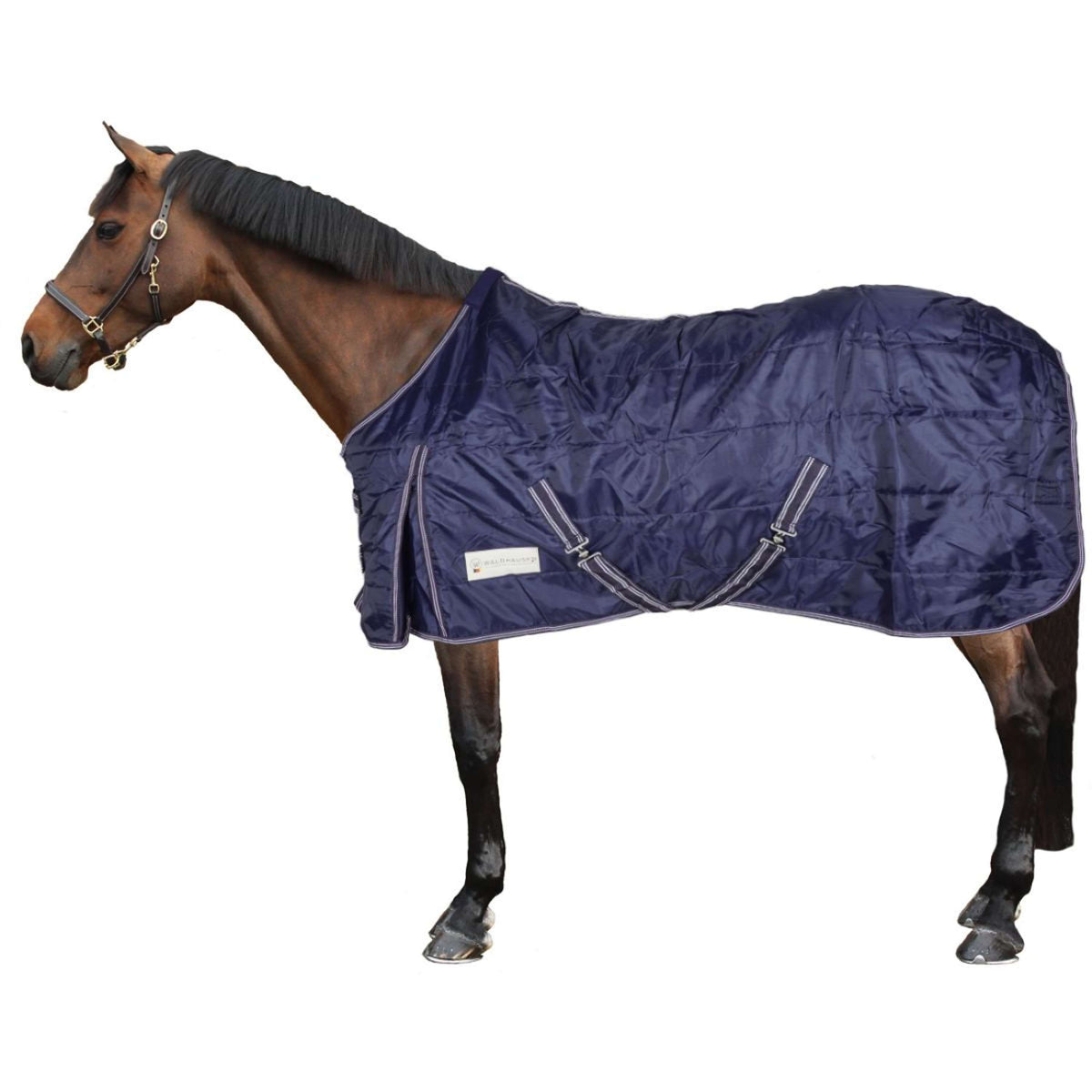 Waldhausen Stable Rug Economic 300g Night Blue