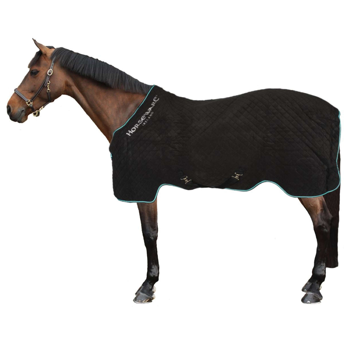 Horseware Cooler Autumn Black/Aqua