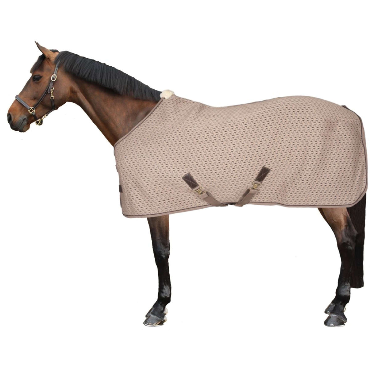 Kentucky Sweat Rug 4D Spacer Beige