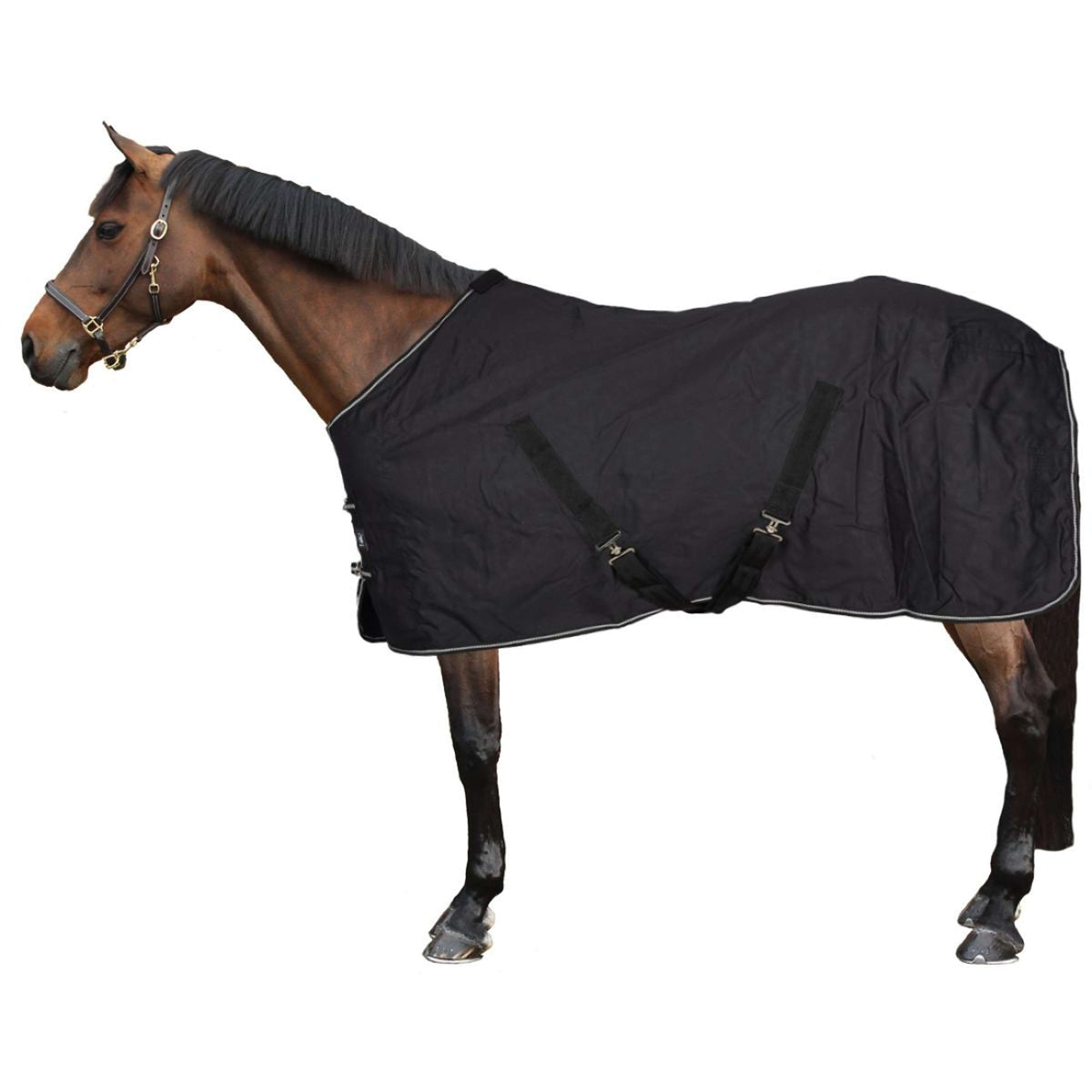 Riding World Summer Rug Brillante Black