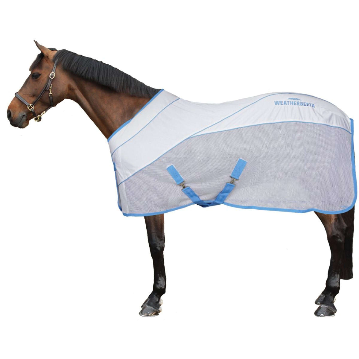 Weatherbeeta Sweat Rug Air-Tec Cooler Standard Neck White/Blue