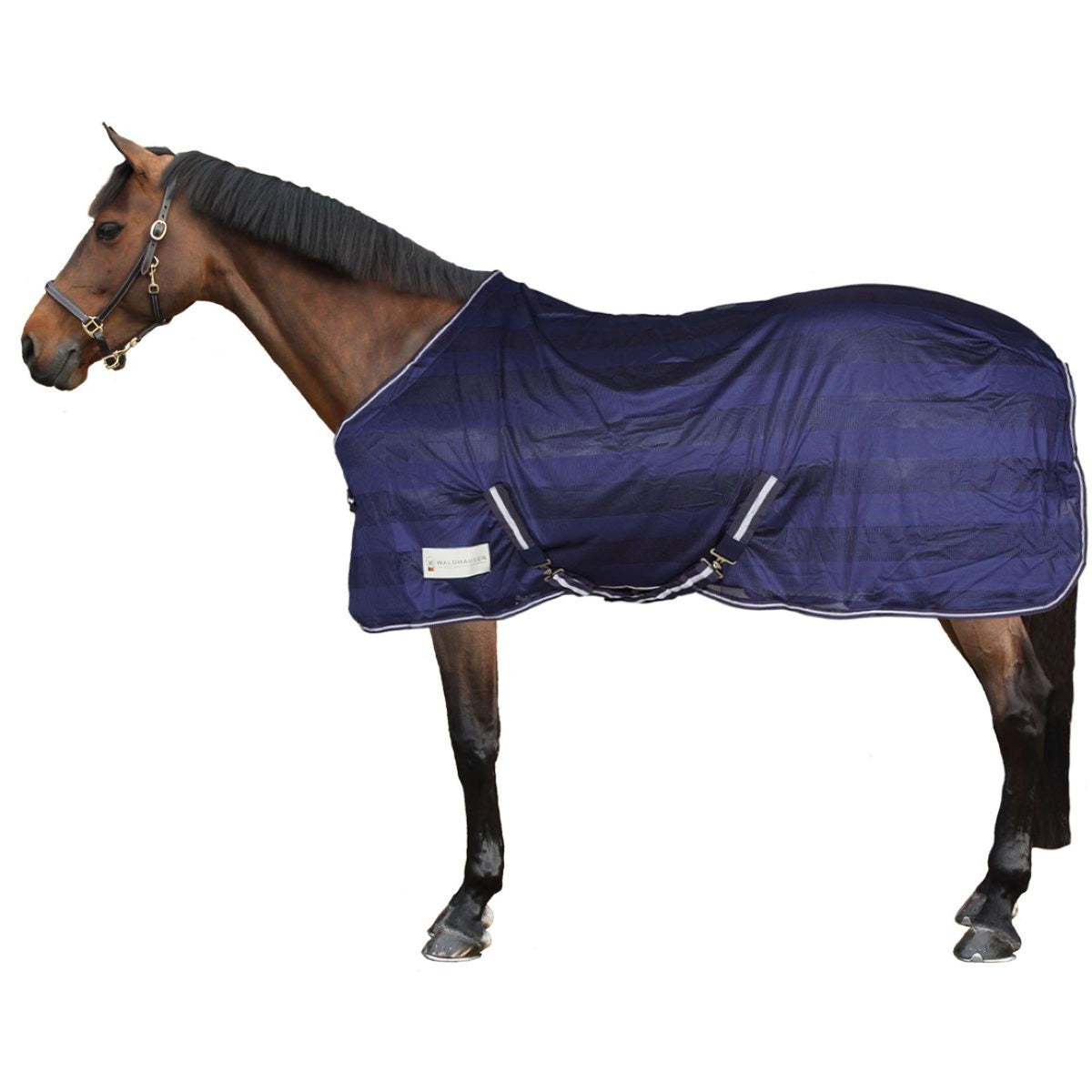 Waldhausen Fly Rug Economic Night Blue