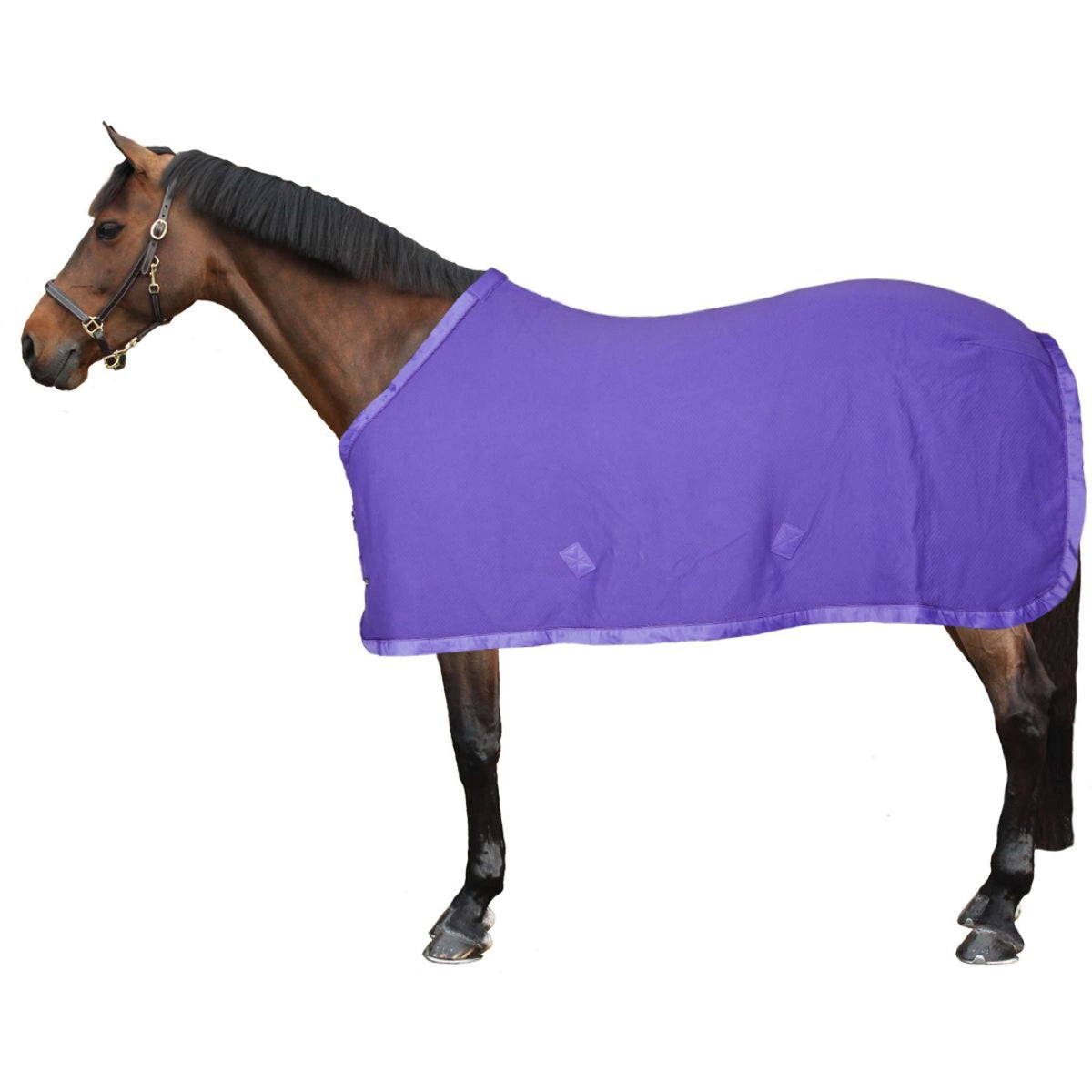 Eskadron Sweat Rug Cotton Quilt Dynamic Purple