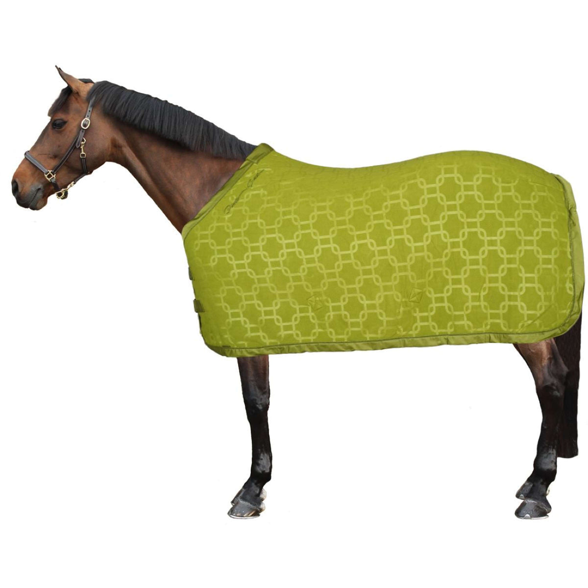 Eskadron Sweat Rug Platinum Fleece Stamp Chain moss-green