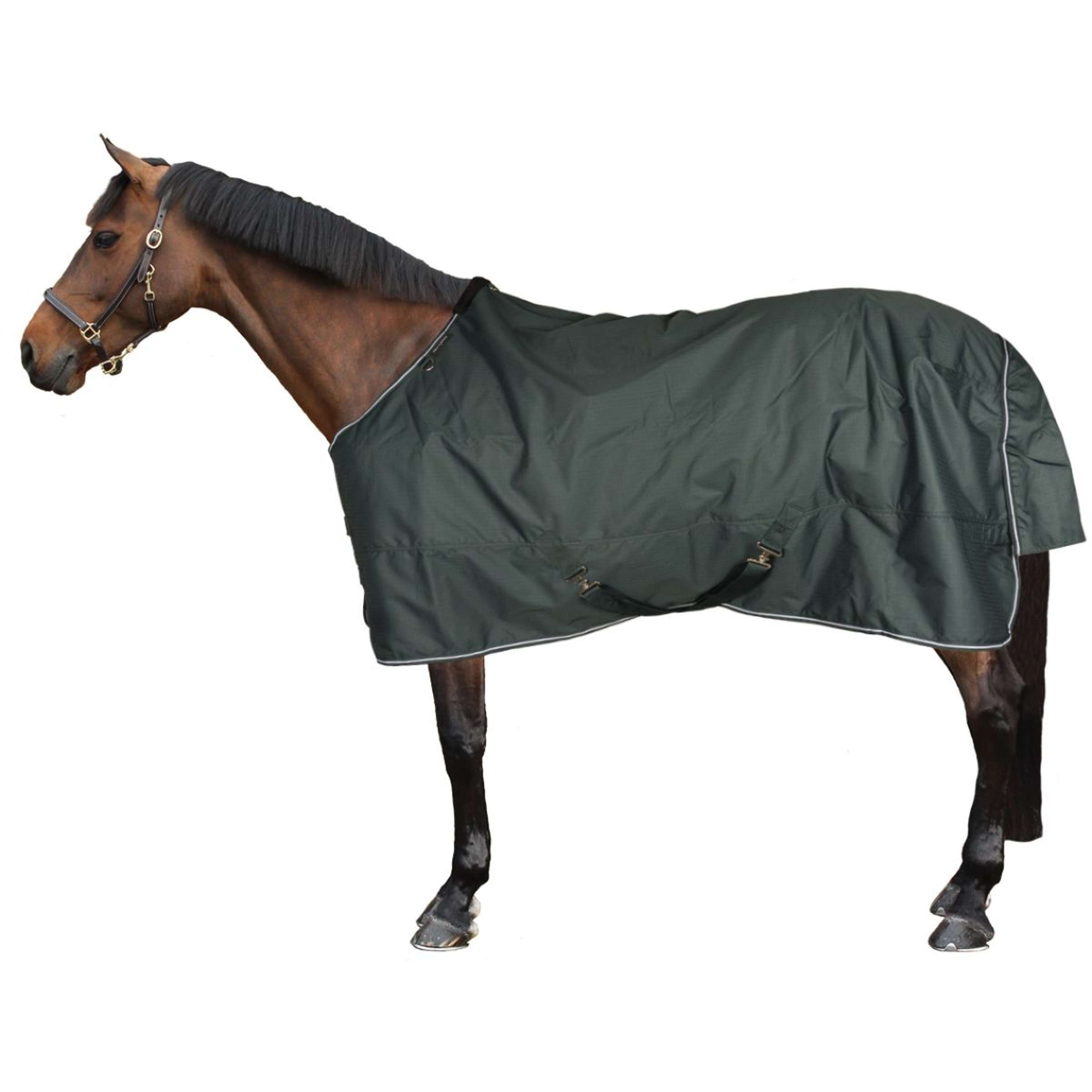 EQUITHÈME Outdoor Rug Tyrex 600D Standard 150g Green