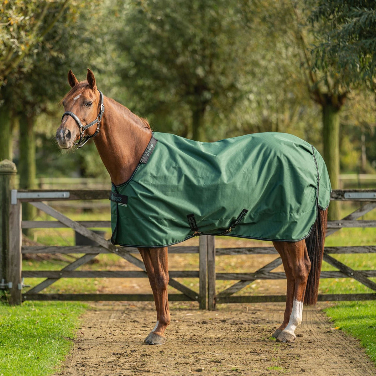 Agradi by Bucas Turnout Rug 0g Green/Black