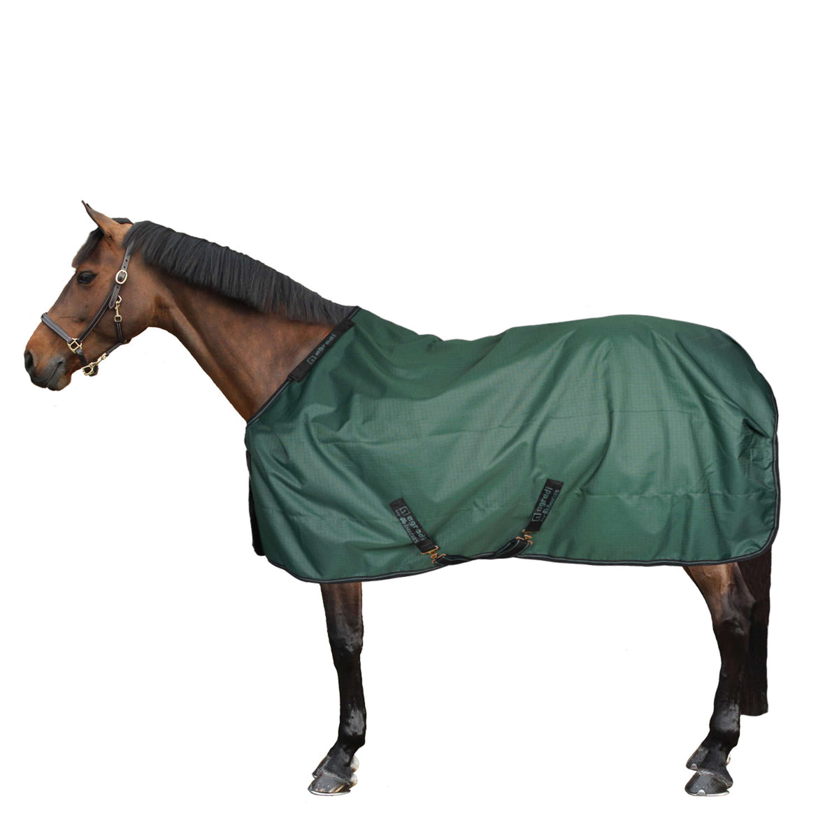 Agradi by Bucas Turnout Rug 0g Green/Black