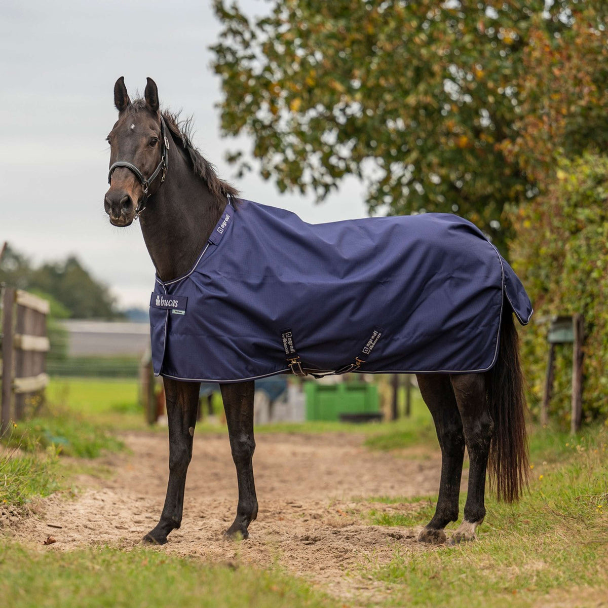 Agradi by Bucas Turnout Rug 0g Navy/Silver