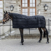 Kentucky Rug Horse Duvet 300g Black