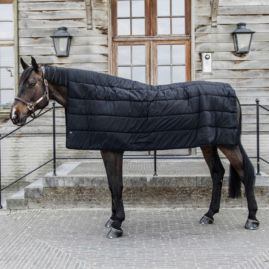 Kentucky Rug Horse Duvet 300g Black