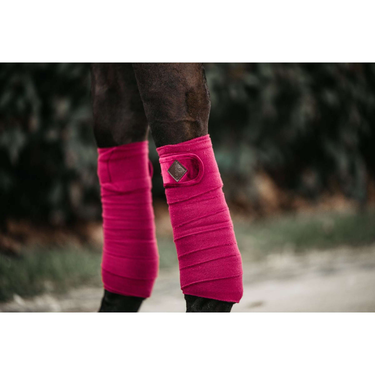 Kentucky Bandages Polar Fleece Velvet Fuchsia