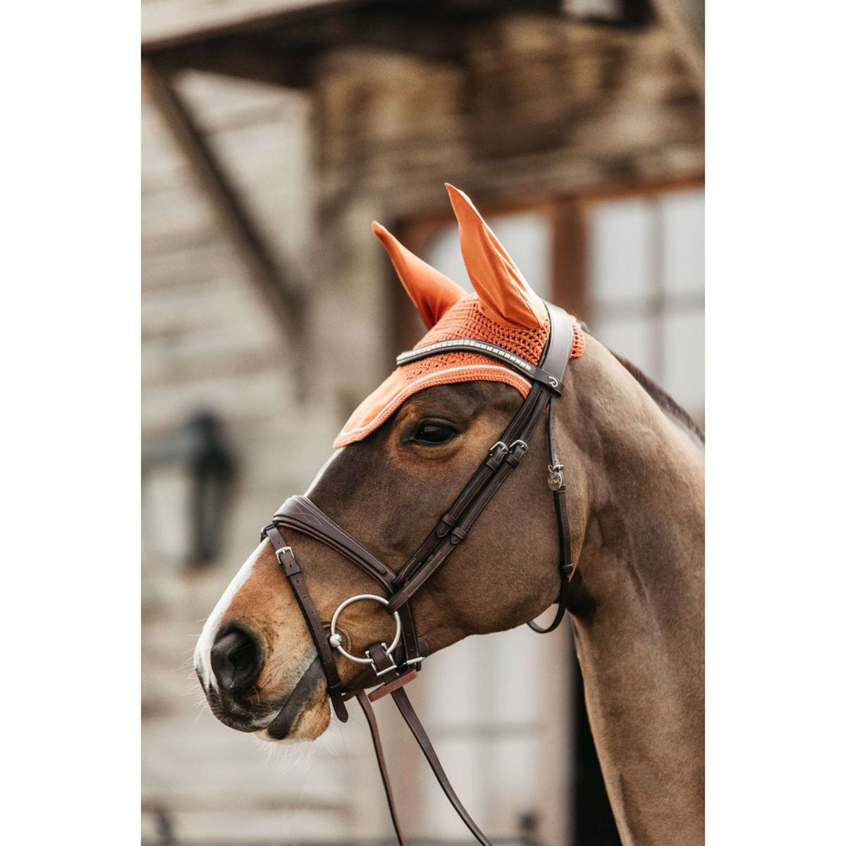 Kentucky Ear Cover Wellington Velvet Orange