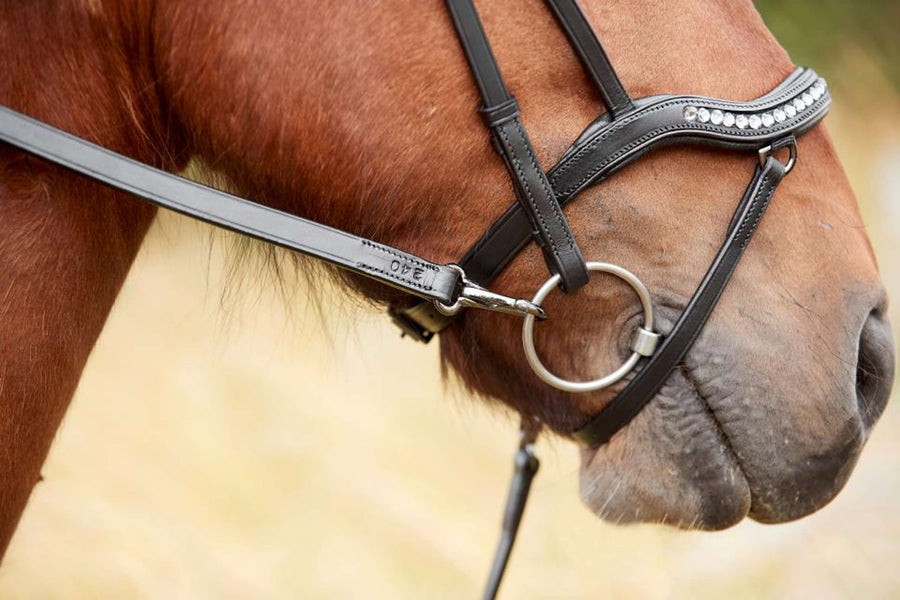 Catago Icelandic Reins