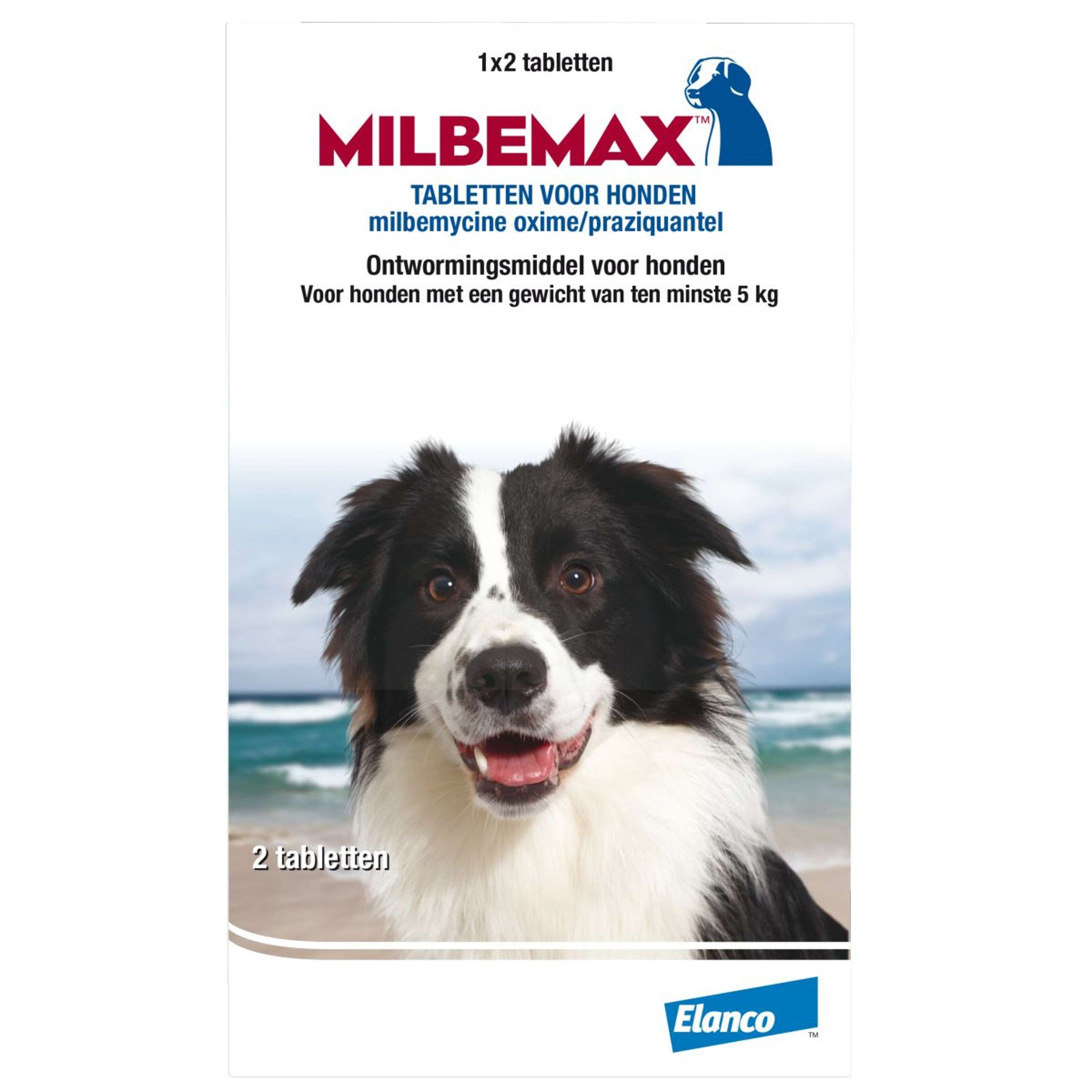 Milbemax Deworming Tablet Dog Big