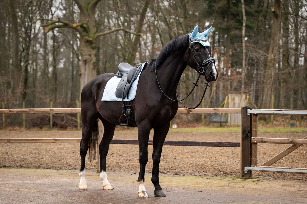 Showtime Saddlepad Spring Dressage Lightblue