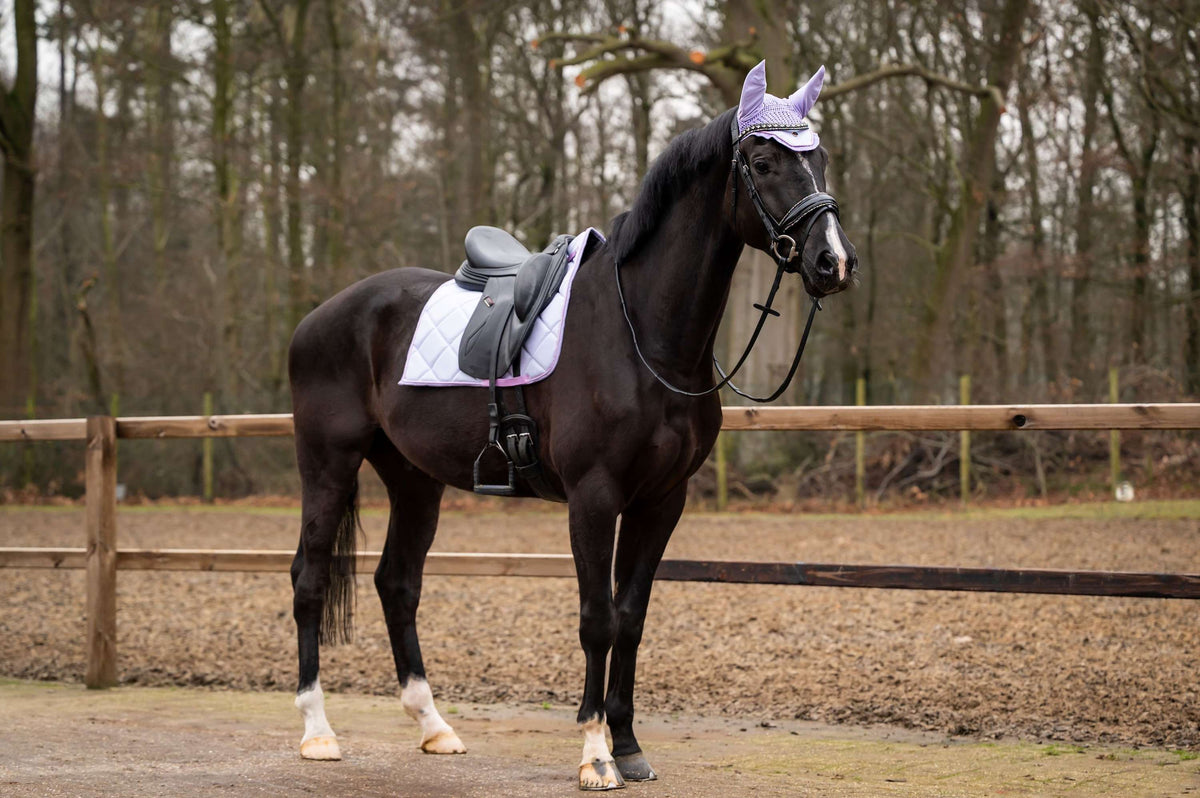 Showtime Saddlepad Spring Dressage Lilac