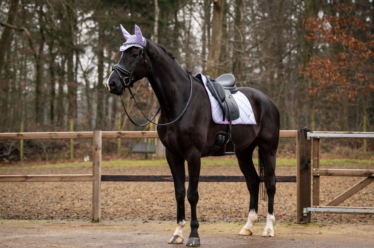 Showtime Saddlepad Spring Dressage Lilac