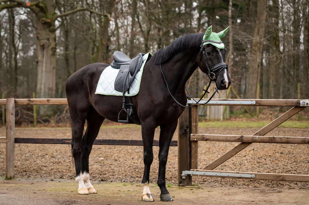 Showtime Saddlepad Spring Dressage Mint green