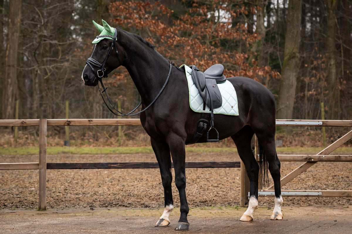 Showtime Saddlepad Spring Dressage Mint green