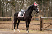 Showtime Saddlepad Spring Dressage Pink