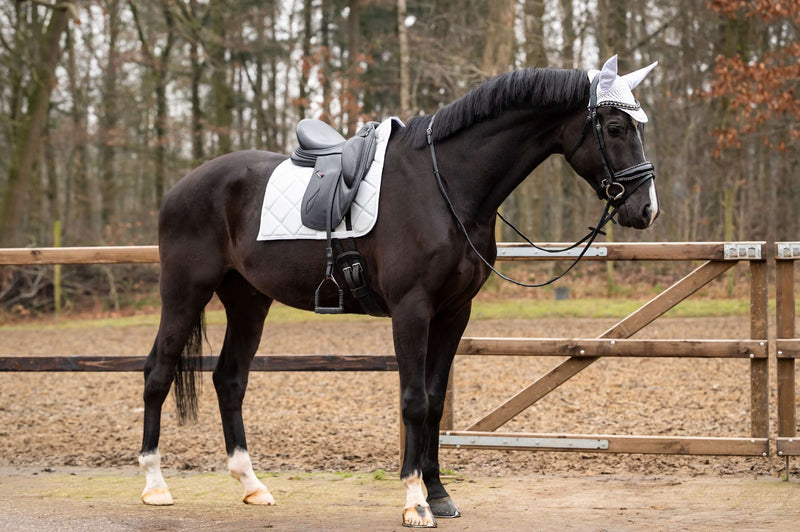 Showtime Saddlepad Spring Dressage Silver