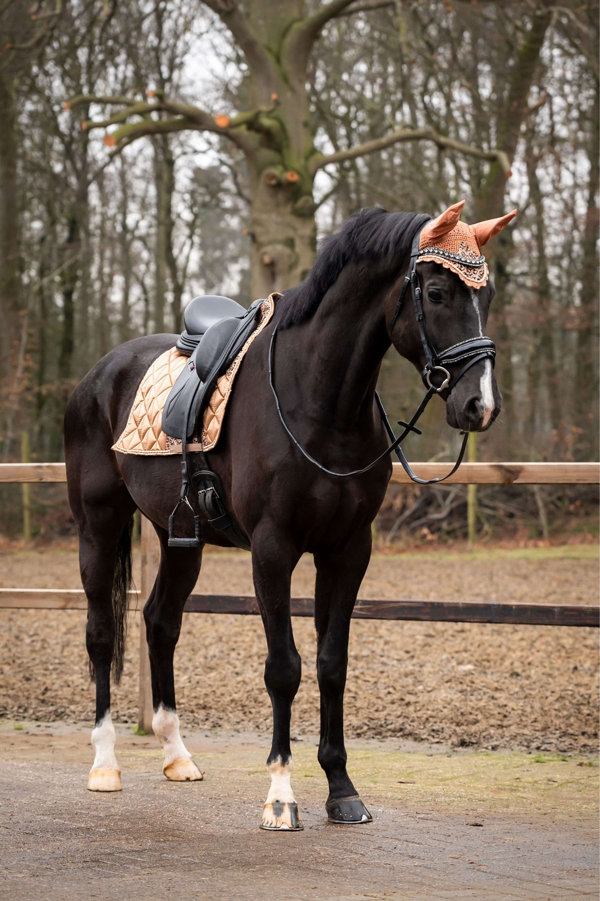 Showtime Saddlepad Rio Dressage Beige