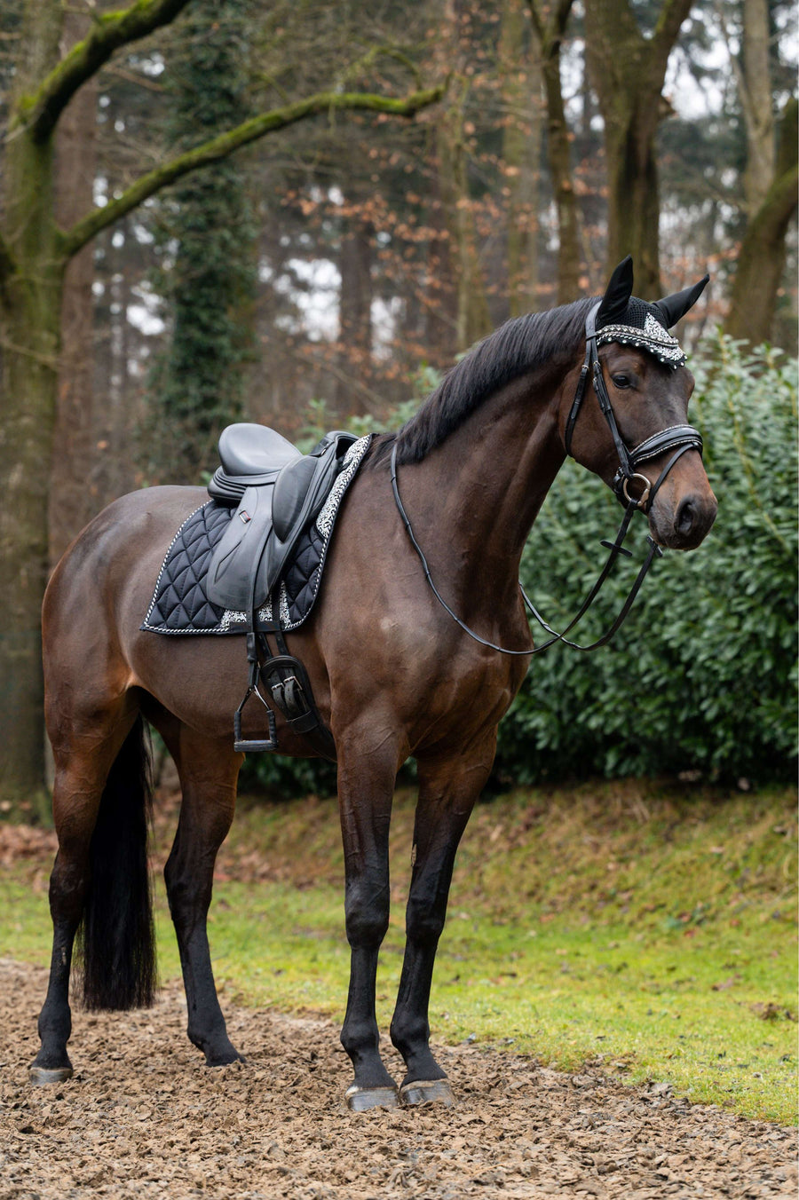 Showtime Saddlepad Rio Dressage Black