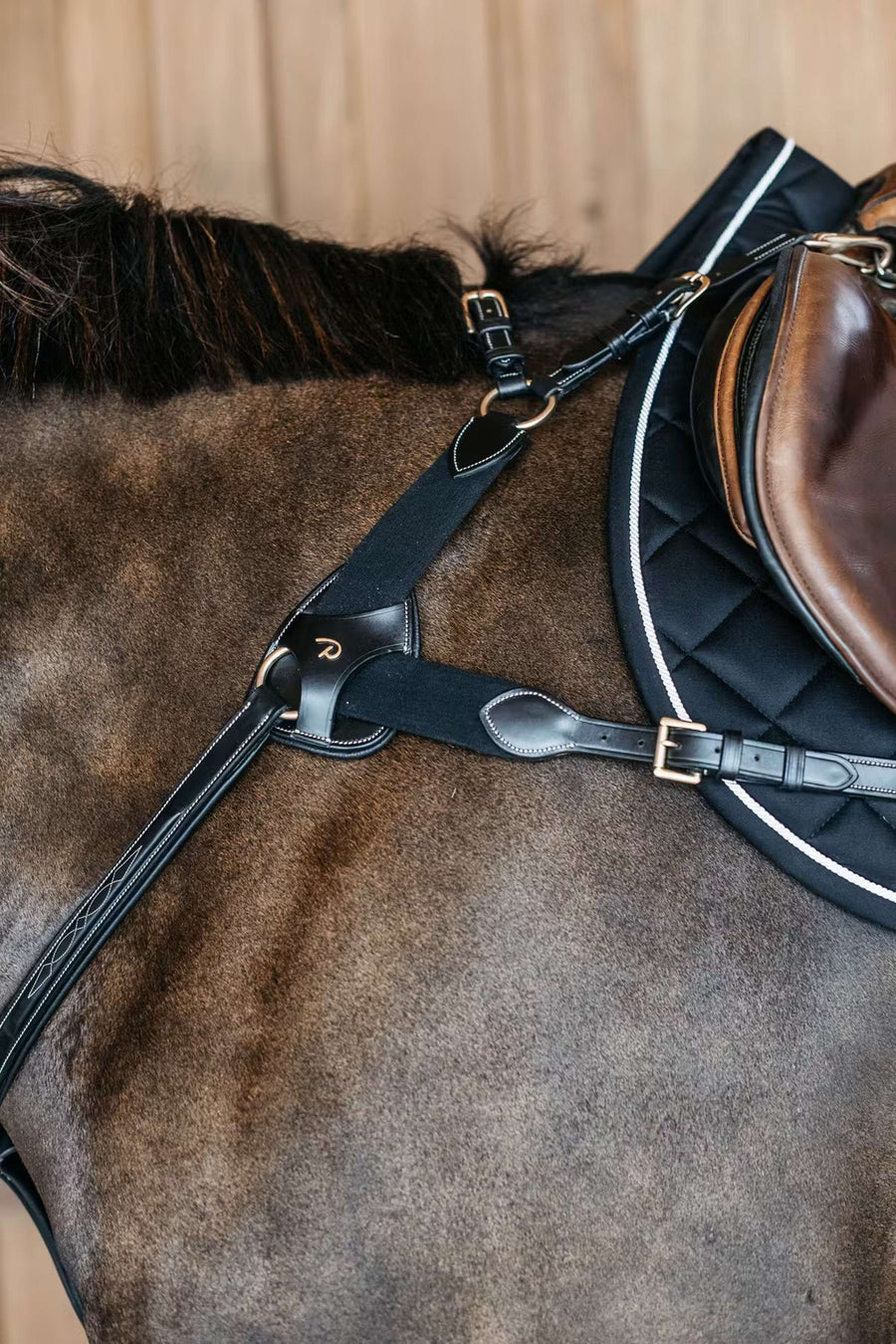 Dyon Chest Buckle 5 points Elastic Black