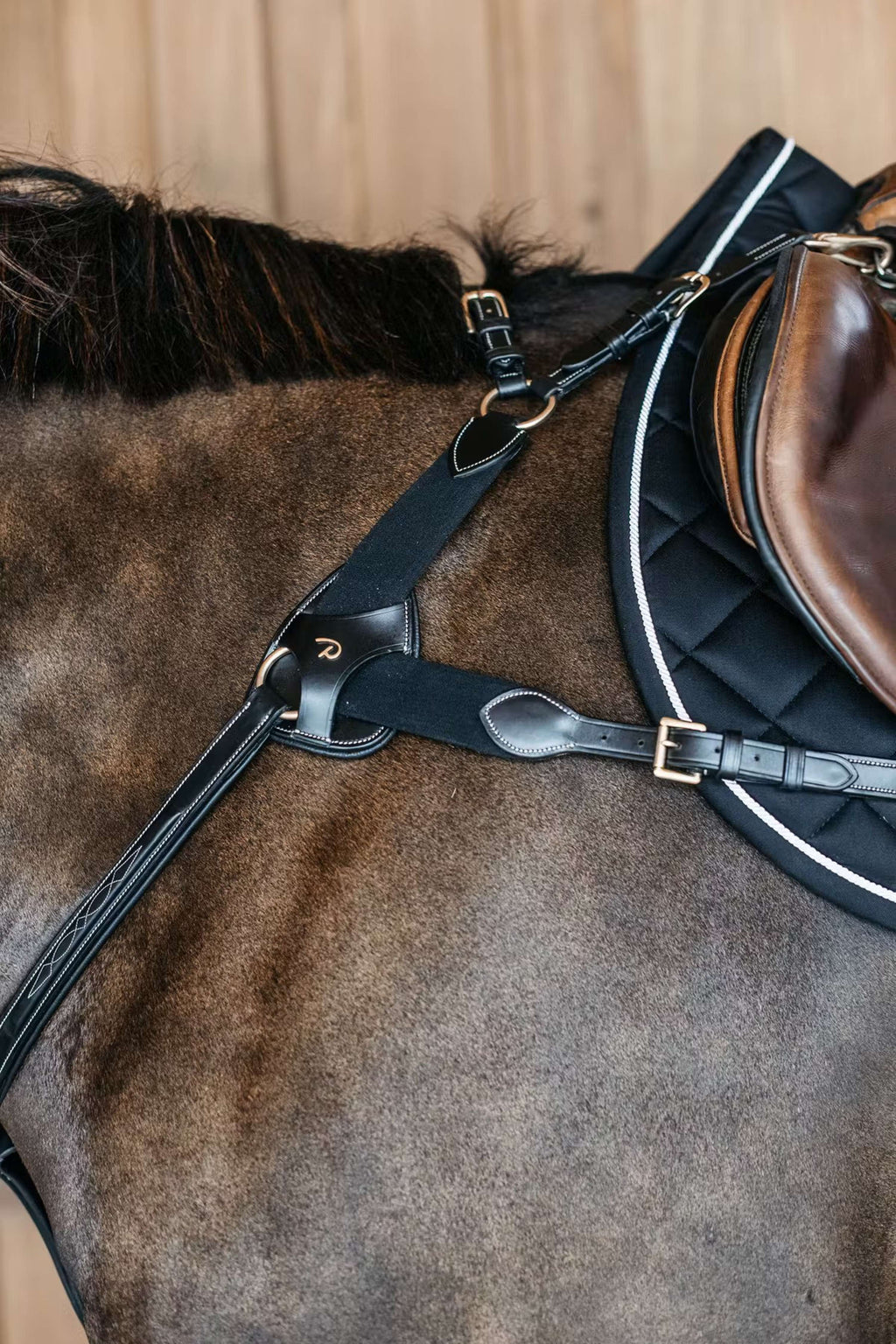 Dyon Chest Buckle 5 points Elastic Black
