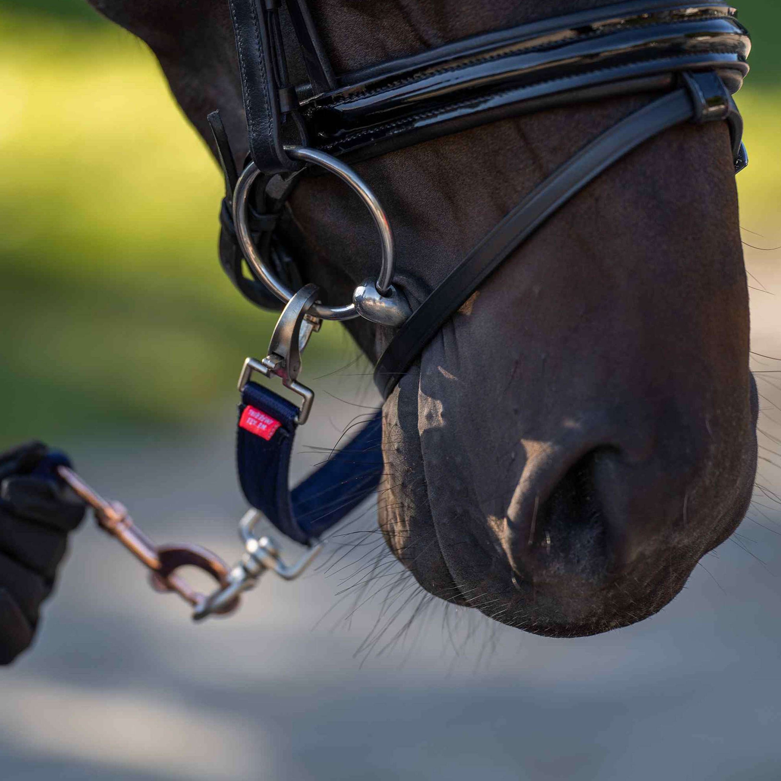 Imperial Riding Lunge Bridle Bit IRH Navy Imperial Riding Lunge Bridle Bit IRH Navy
