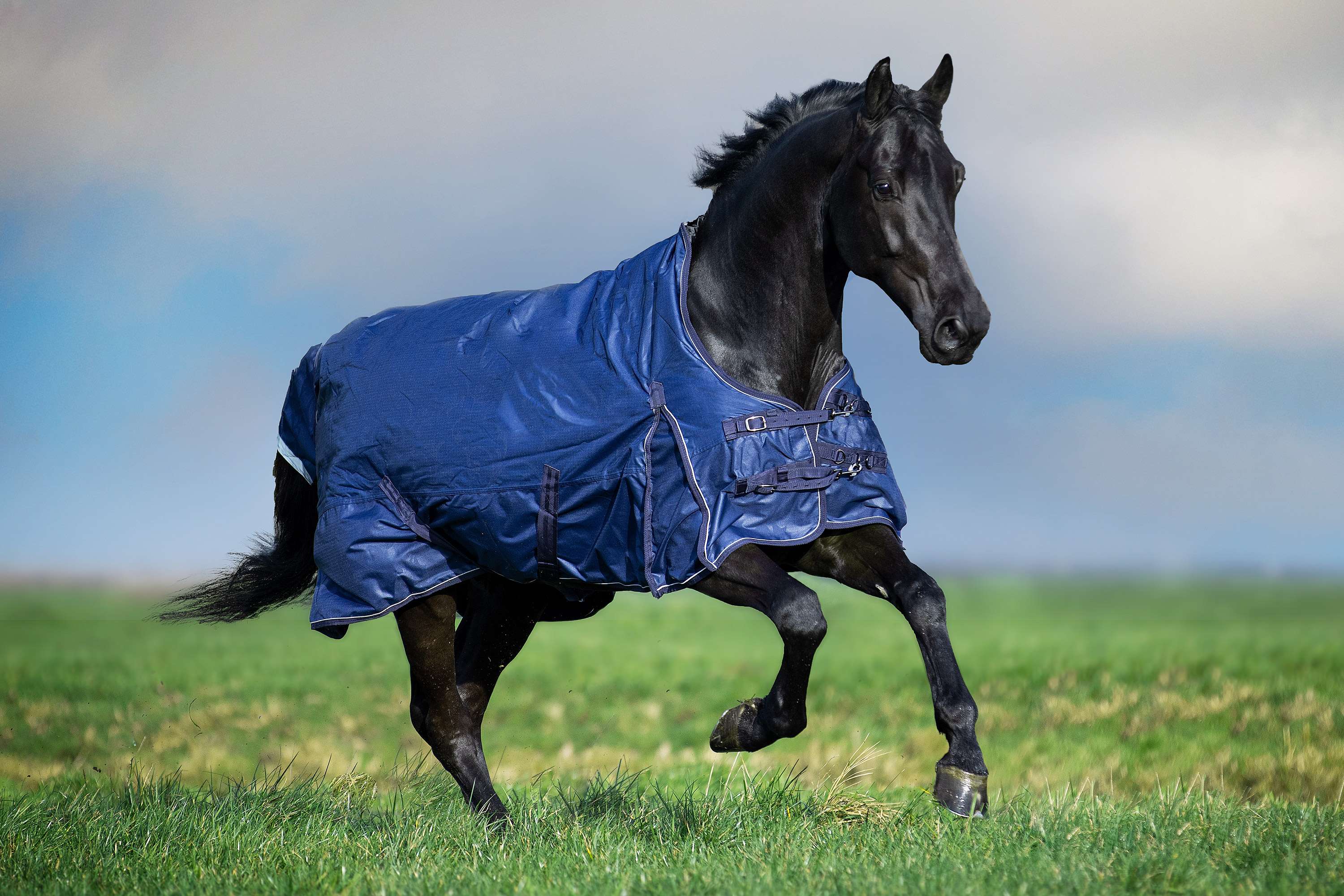 Imperial Riding Outdoor Rug IRHSuper-Dry 200g Navy