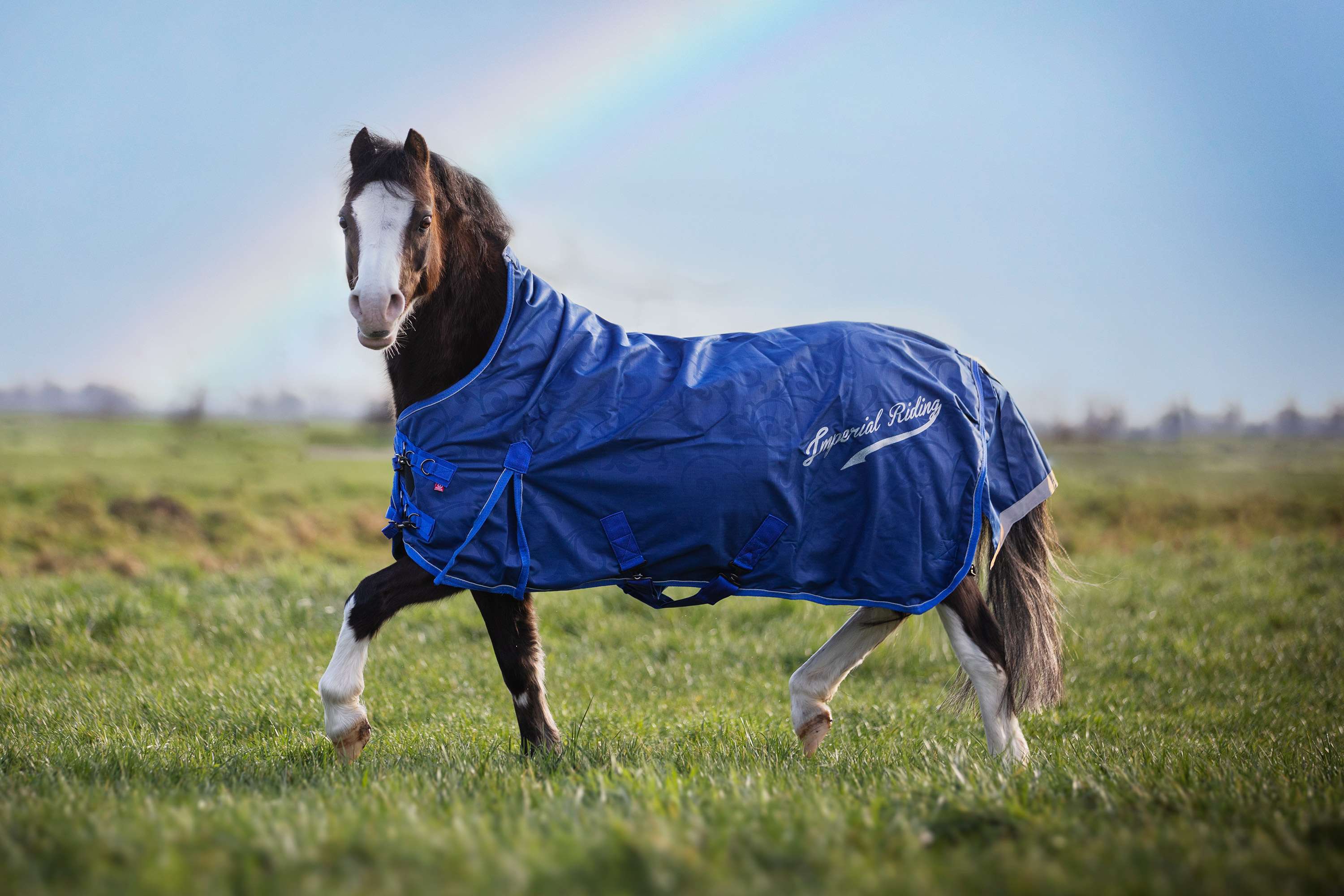 Imperial Riding Outdoor Rug IRHSuper-Dry 200g Navy