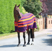 Tempest Fleece Rug Original Newmarket Purple