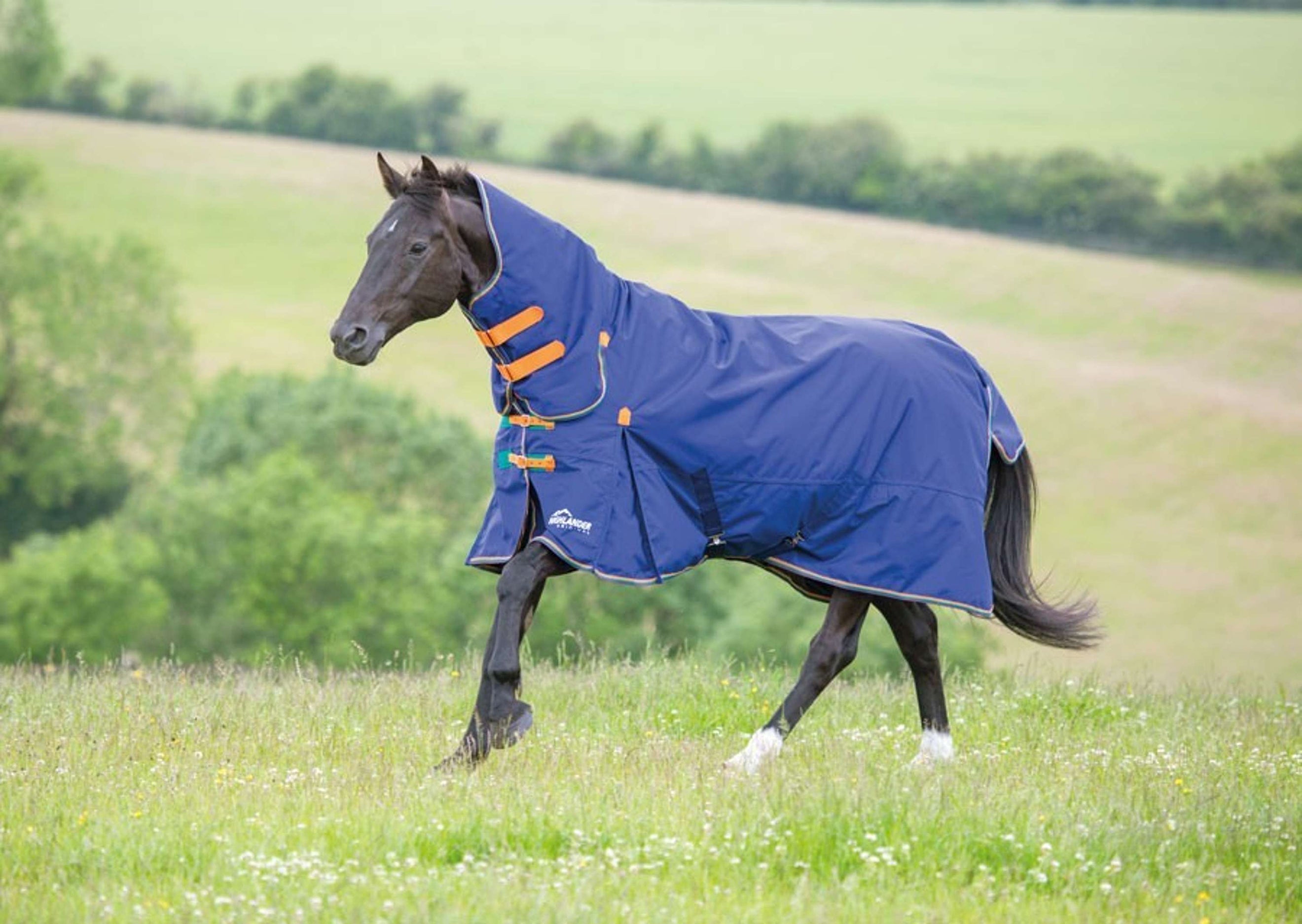 Highlander Original Winter Rug Turnout 100g Combo Navy