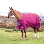 Highlander Original Winter Rug Turnout 300g Raspberry