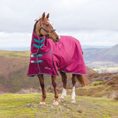 Highlander Original Winter Rug Turnout Combo 300g Raspberry