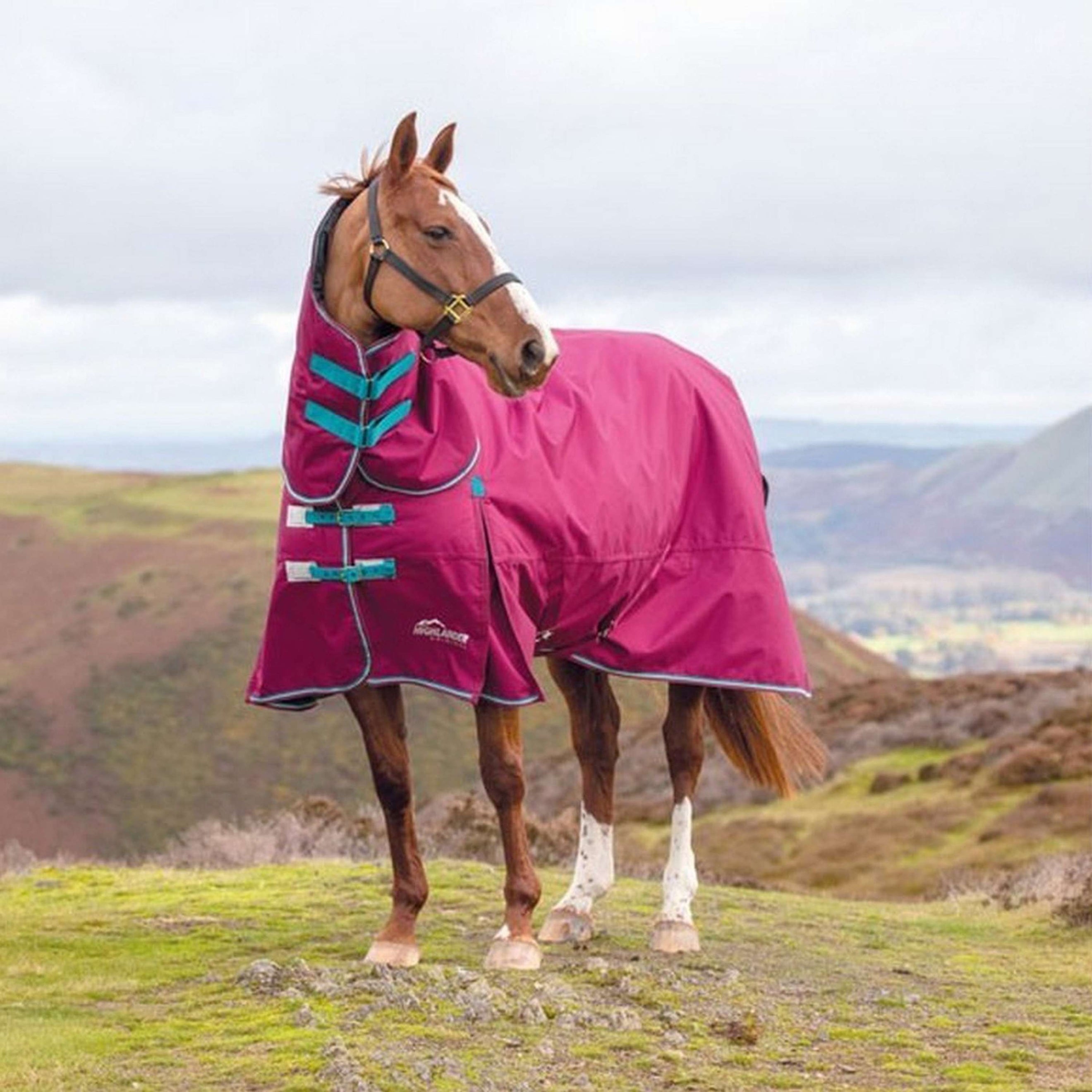 Shires Turnout Highlander Original 300g Combo Raspberry