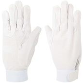 Harry's Horse Cotton Gloves White