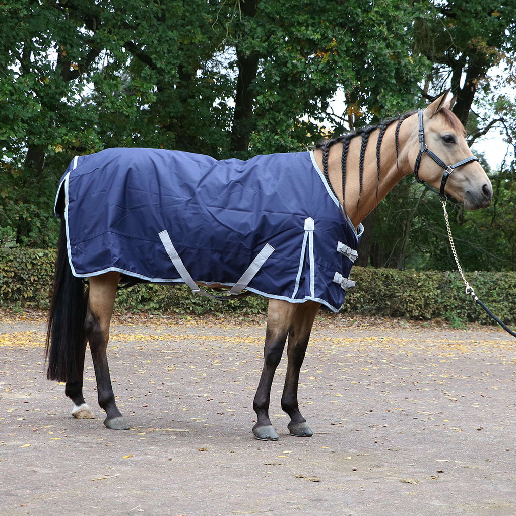 Premiere Outdoor Rug All Year Nylon 600D 150g Dress Blue