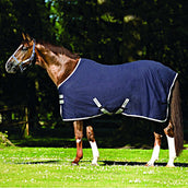 Amigo Stable Rug X Sur Navy/Silver