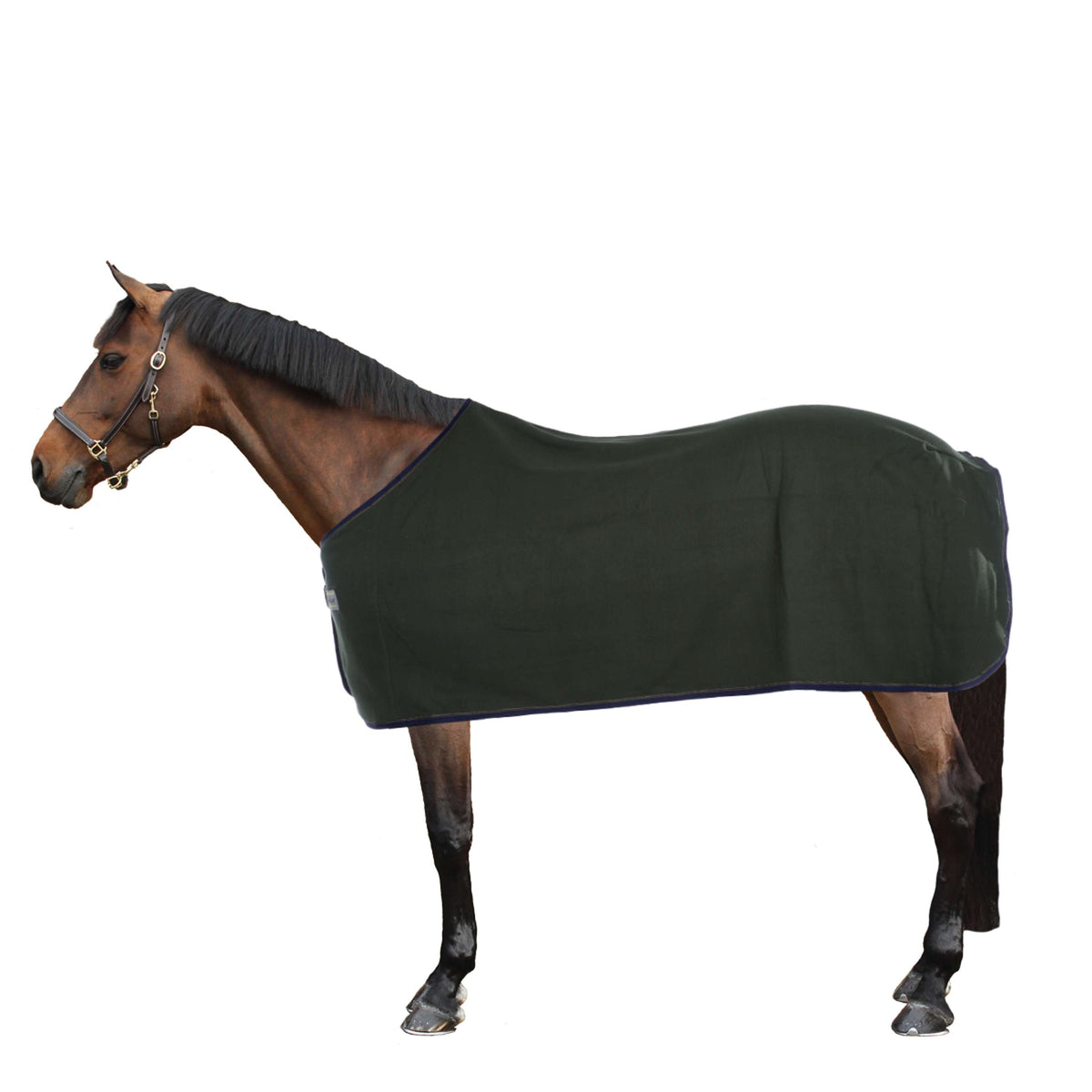 Kavalkade Sweat Rug Ecoline Fleece Fir Green