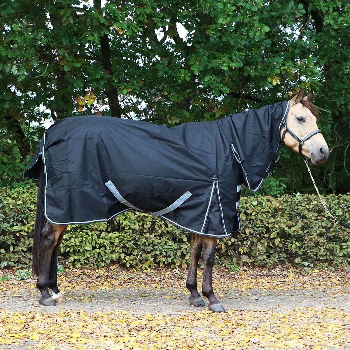 Harry's Horse Rainsheet Combo 0g Stretch limo