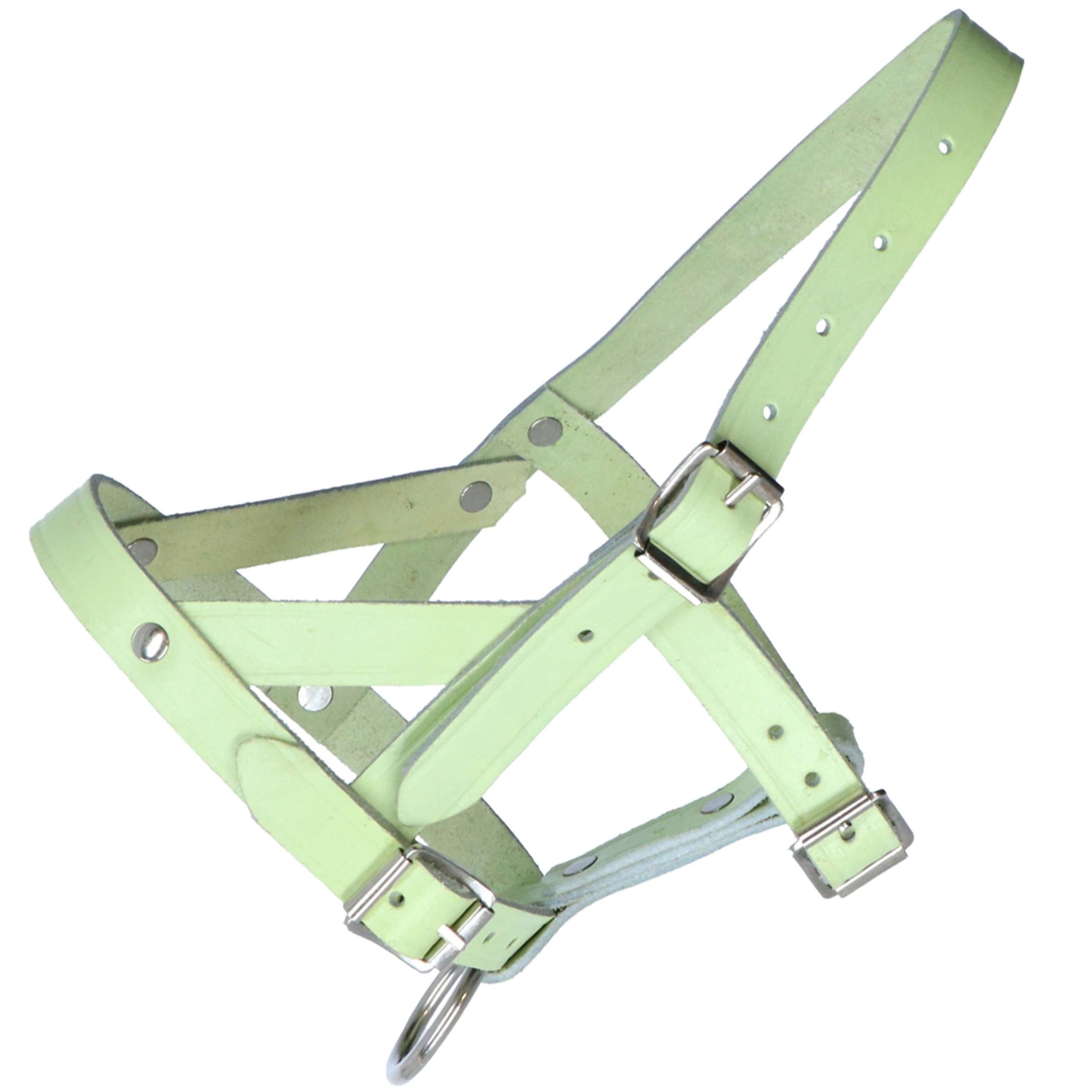 Kerbl Sheep and Ram Halter