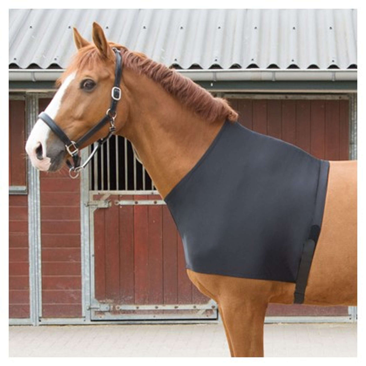 Harry's Horse Lycra Chest Protector Black