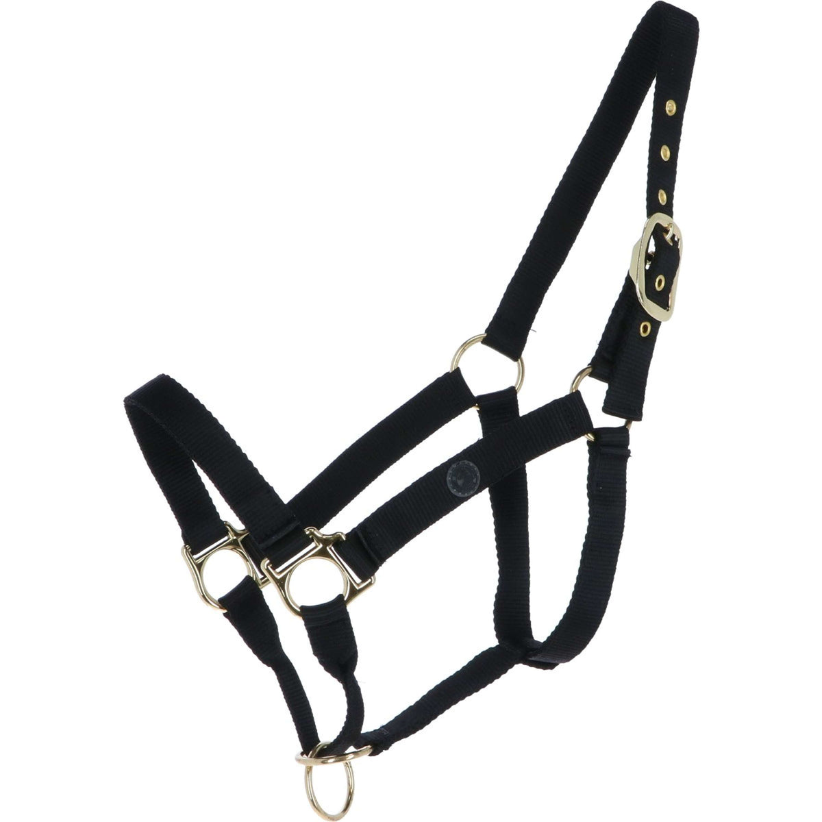 Harry's Horse Headcollar Controller Black