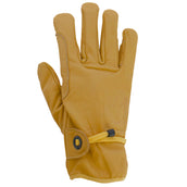 Scippis Riding Gloves Tan