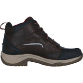 Ariat Stable Boots Telluride II H2O Darkbrown