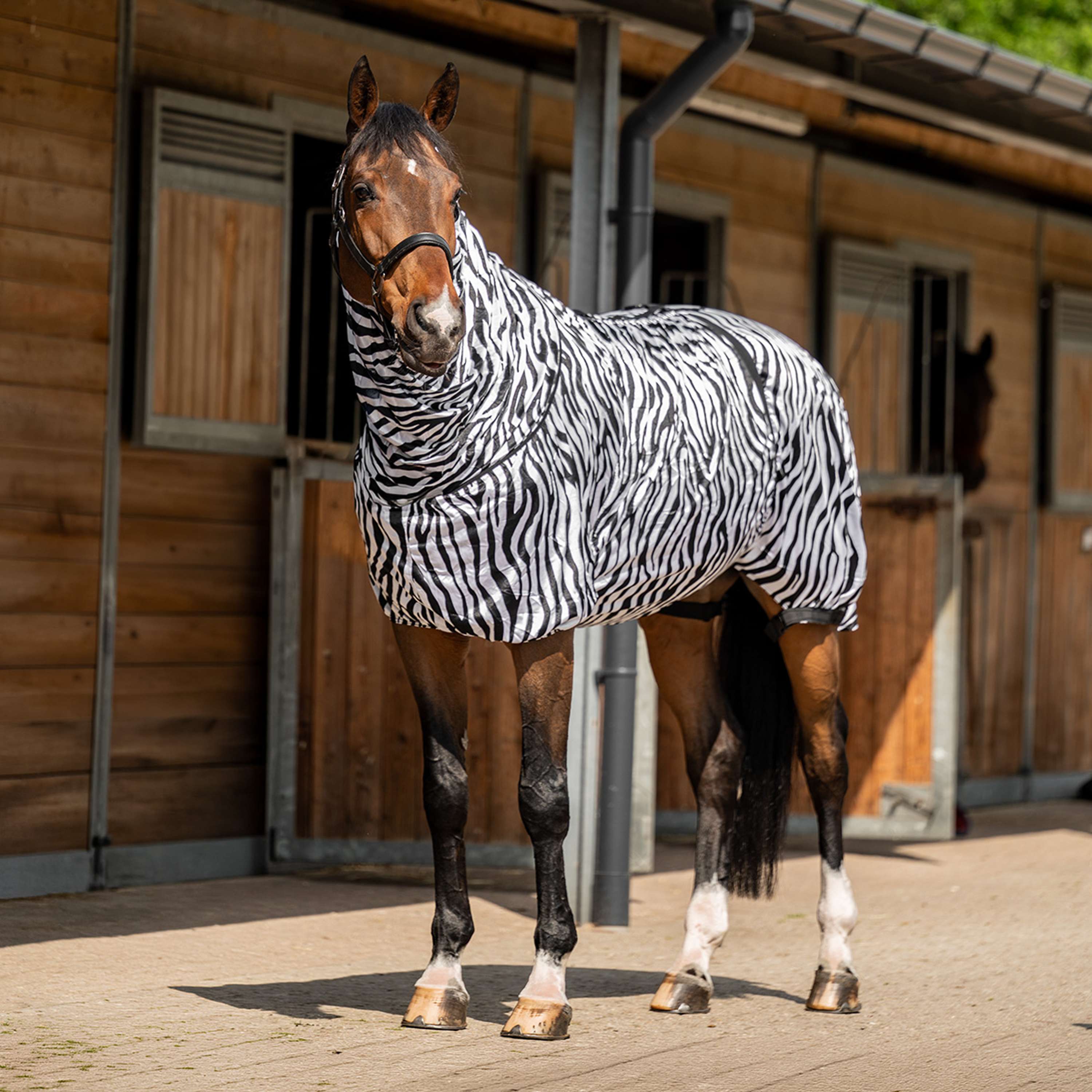 HKM Eczema Rug Zebra White/Black