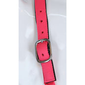 HKM Headcollar Stars Softice Neon pink